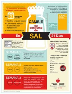 Infografía del Intercambio de sodio, español