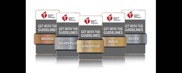 Get With The Guidelines Awards icons from Bronze to gold plus