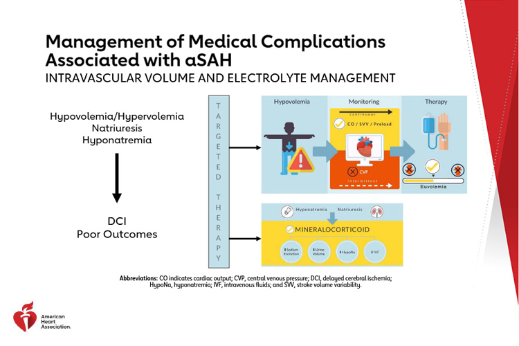 2023 Guideline For The Management Of Patients With Aneurysmal ...