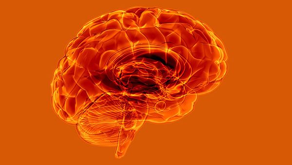 Facts, Causes, Risks and Prevention of Stroke Facts, Causes, Risks and Prevention of Stroke