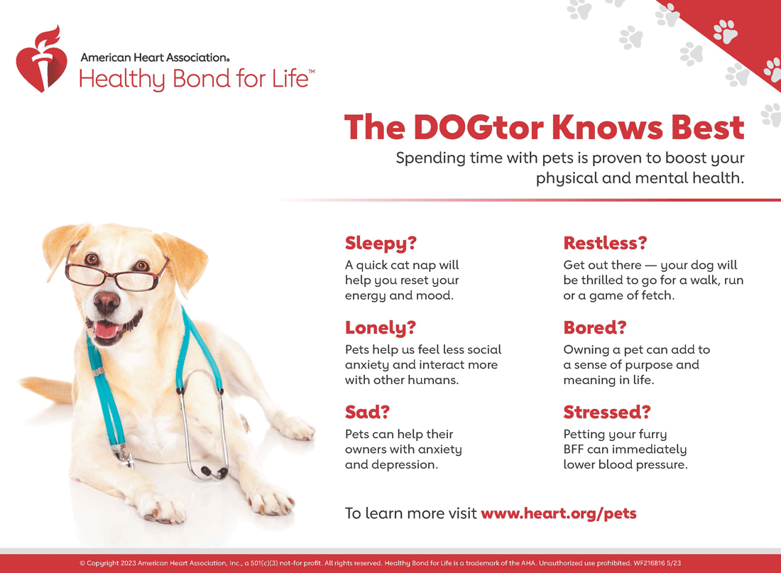 The DOGtor Knows Best Infographic