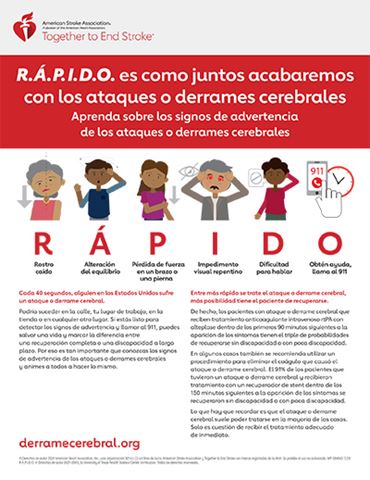 Infografía R.Á.P.I.D.O.